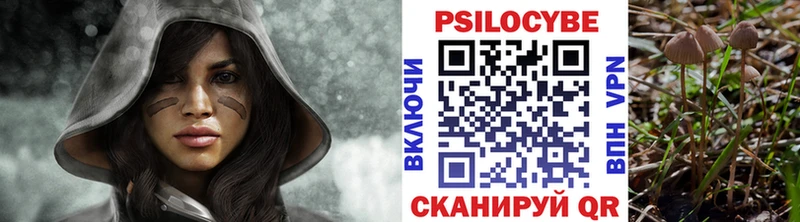 блэк спрут ТОР  Свободный  Галлюциногенные грибы прущие грибы 