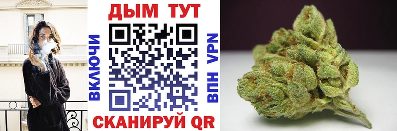 купить закладку Свободный Бошки Шишки конопля